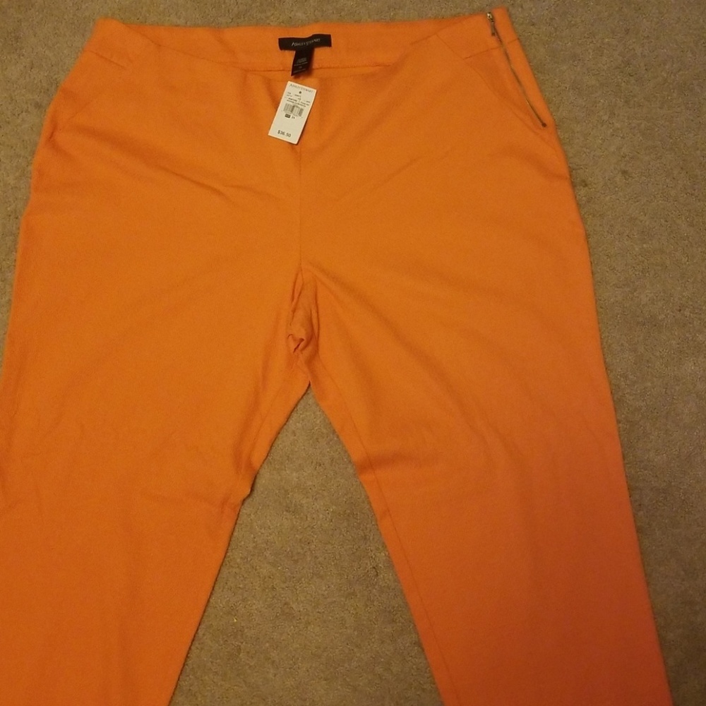 Pants